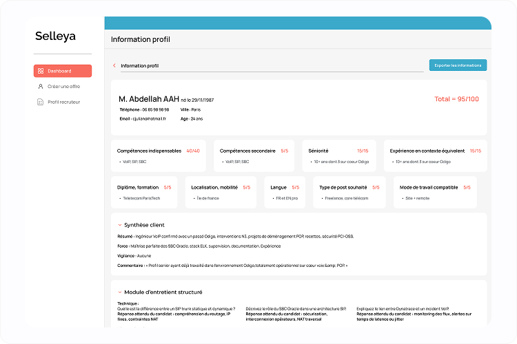 Candidate profile analysis interface